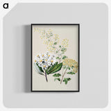 1-20_Native-Flowering-Plants-of-New-Zealand_blk-crop