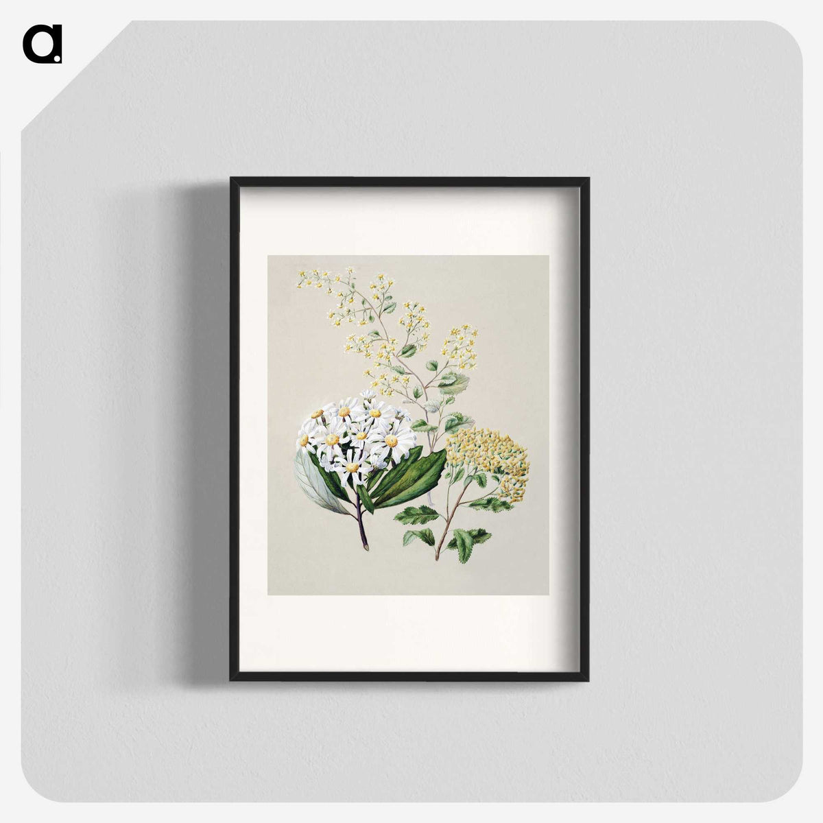 1-20_Native-Flowering-Plants-of-New-Zealand_blk