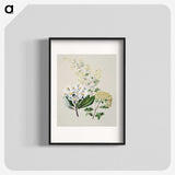 1-20_Native-Flowering-Plants-of-New-Zealand_blk