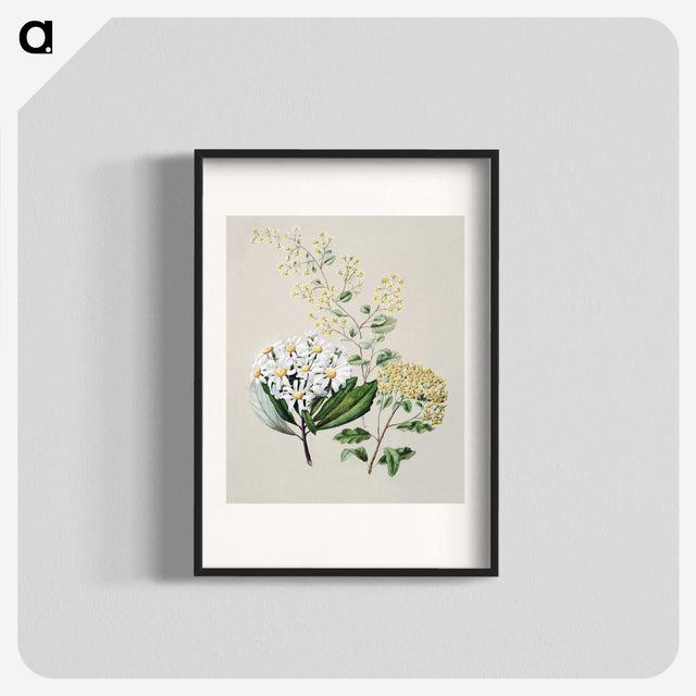 1-20_Native-Flowering-Plants-of-New-Zealand_blk