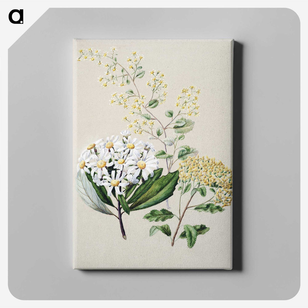 1-20_Native-Flowering-Plants-of-New-Zealand_canvas