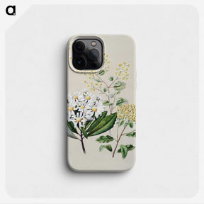 1-20_Native-Flowering-Plants-of-New-Zealand_phone