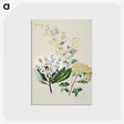 1-20_Native-Flowering-Plants-of-New-Zealand_postcard