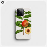 1-20_Nederlandsche-Flora-en-Pomona_phone
