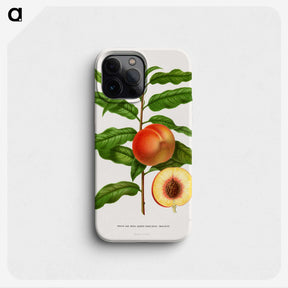 1-20_Nederlandsche-Flora-en-Pomona_phone