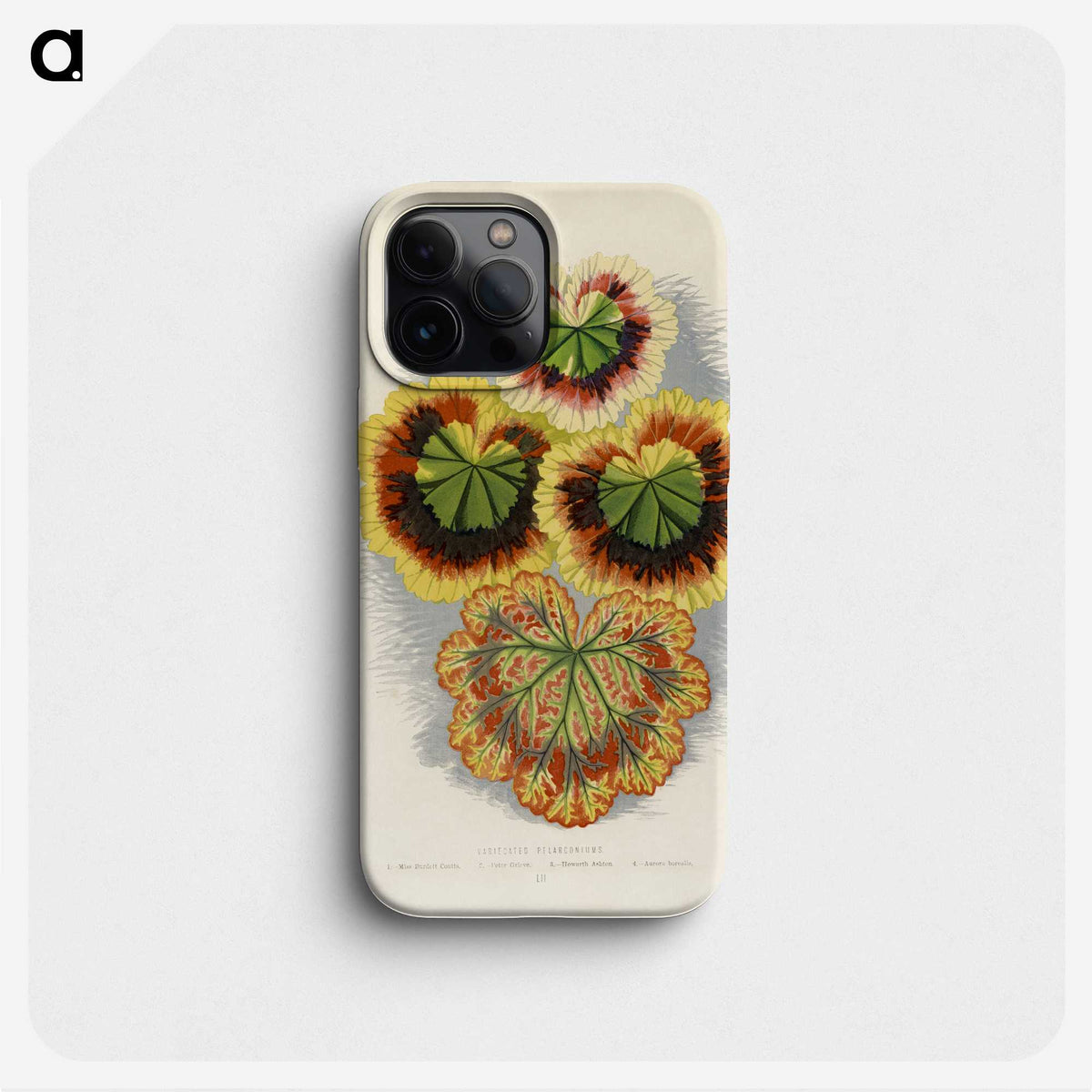 1-20_New-and-Rare-Beautiful-Leaved-Plants_phone