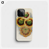 1-20_New-and-Rare-Beautiful-Leaved-Plants_phone
