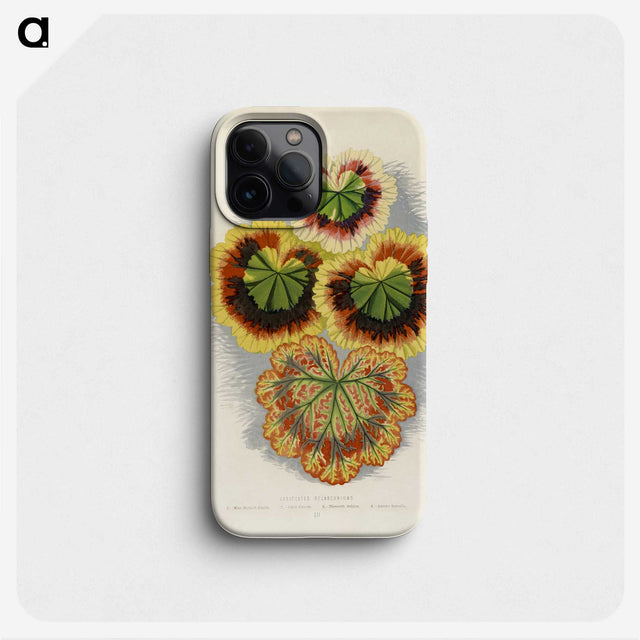 1-20_New-and-Rare-Beautiful-Leaved-Plants_phone
