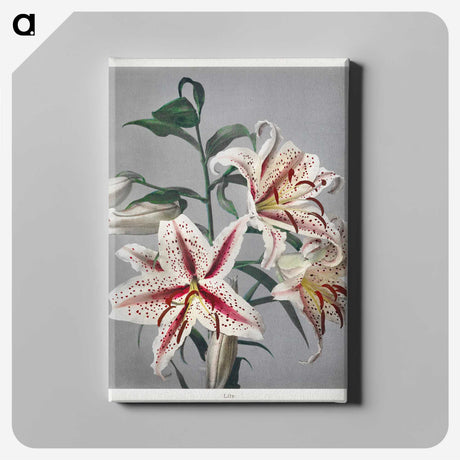 1-20_Ogawa-Kazumasa_canvas
