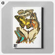 アートパネル-Vintage Butterflies
 - パピヨン Canvas.