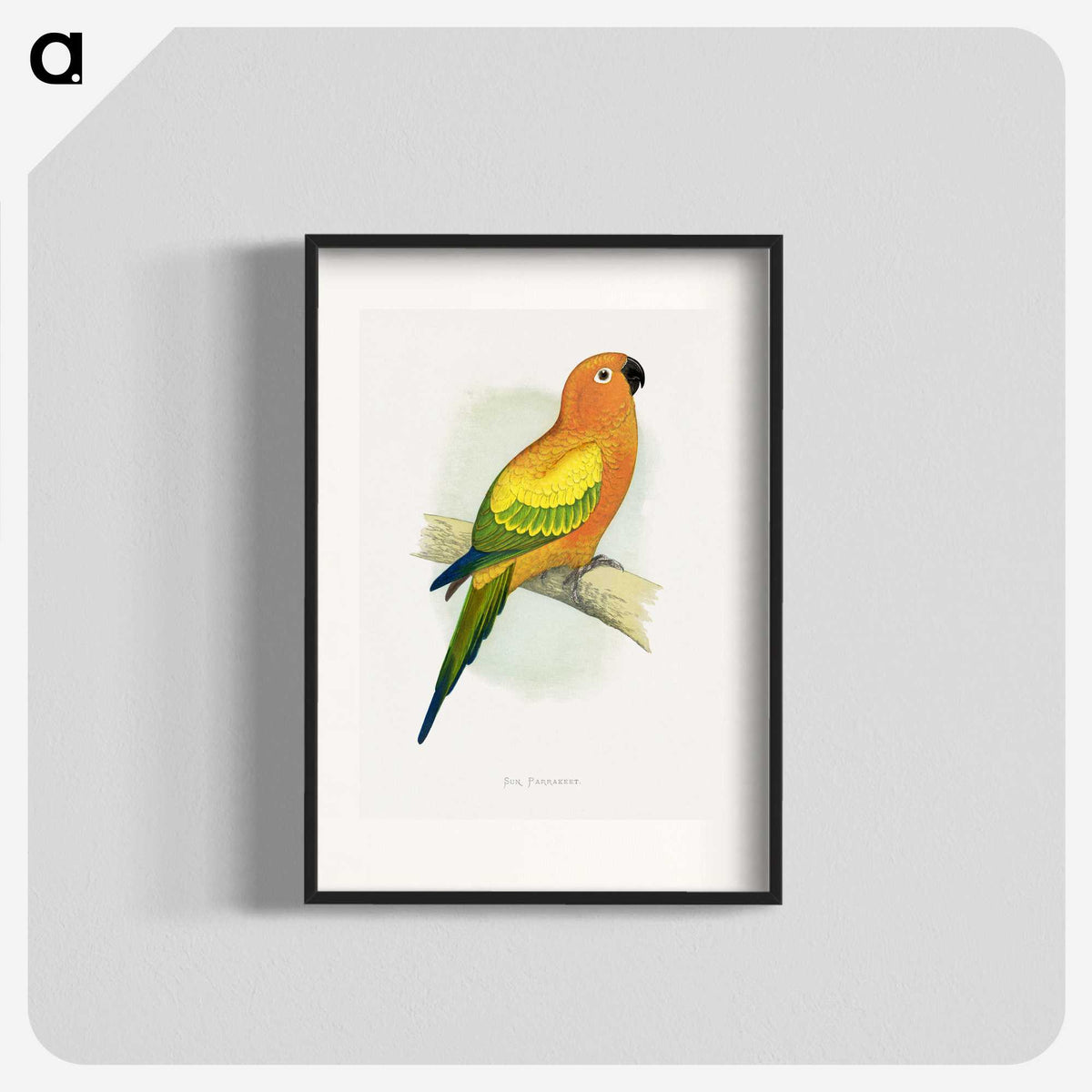 1-20_Parrots-in-Captivity_blk