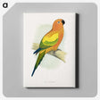 1-20_Parrots-in-Captivity_canvas
