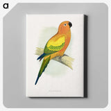 1-20_Parrots-in-Captivity_canvas
