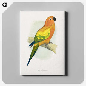 1-20_Parrots-in-Captivity_canvas