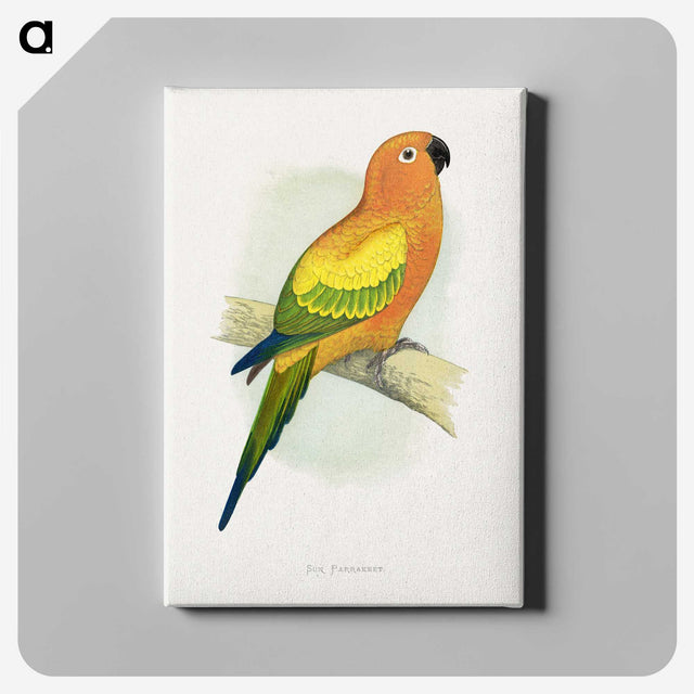 1-20_Parrots-in-Captivity_canvas