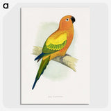 1-20_Parrots-in-Captivity_picture-crop