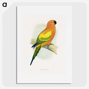 1-20_Parrots-in-Captivity_picture
