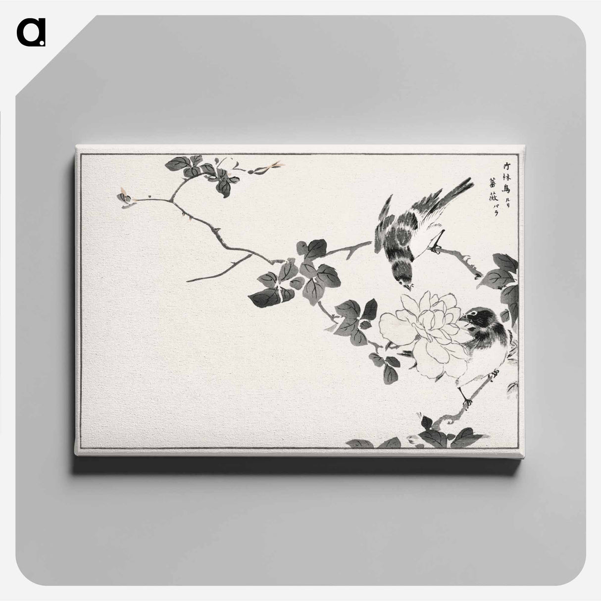 アートパネル-Pallas’s Blue Robin and Rose
 - 鳥類図鑑 Canvas.