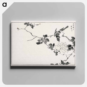アートパネル-Pallas’s Blue Robin and Rose
 - 鳥類図鑑 Canvas.