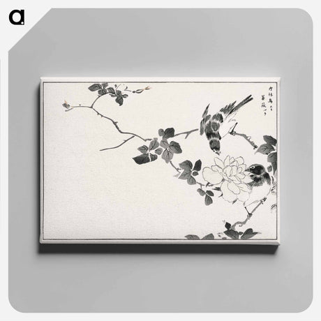 アートパネル-Pallas’s Blue Robin and Rose
 - 鳥類図鑑 Canvas.