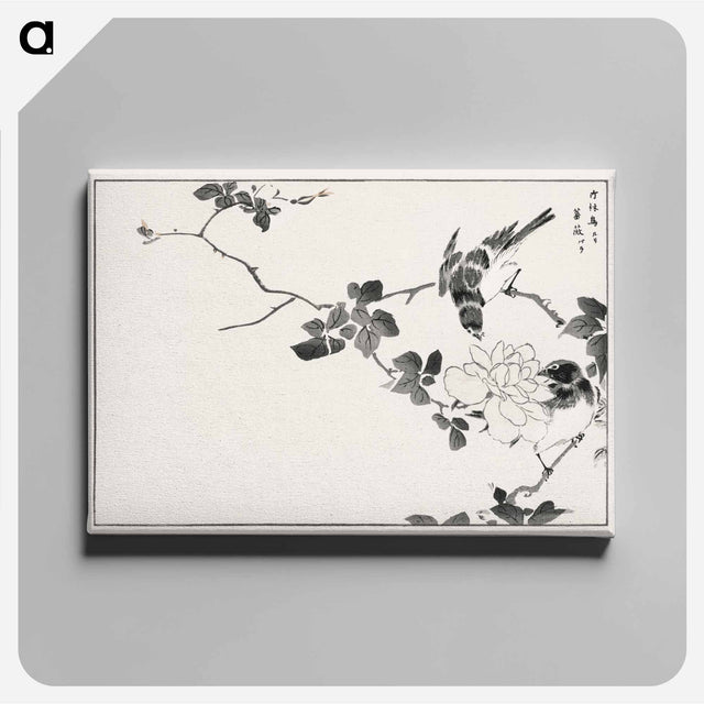 アートパネル-Pallas’s Blue Robin and Rose
 - 鳥類図鑑 Canvas.