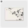 アートポストカード-Pallas’s Blue Robin and Rose
 - 鳥類図鑑 Postcard.