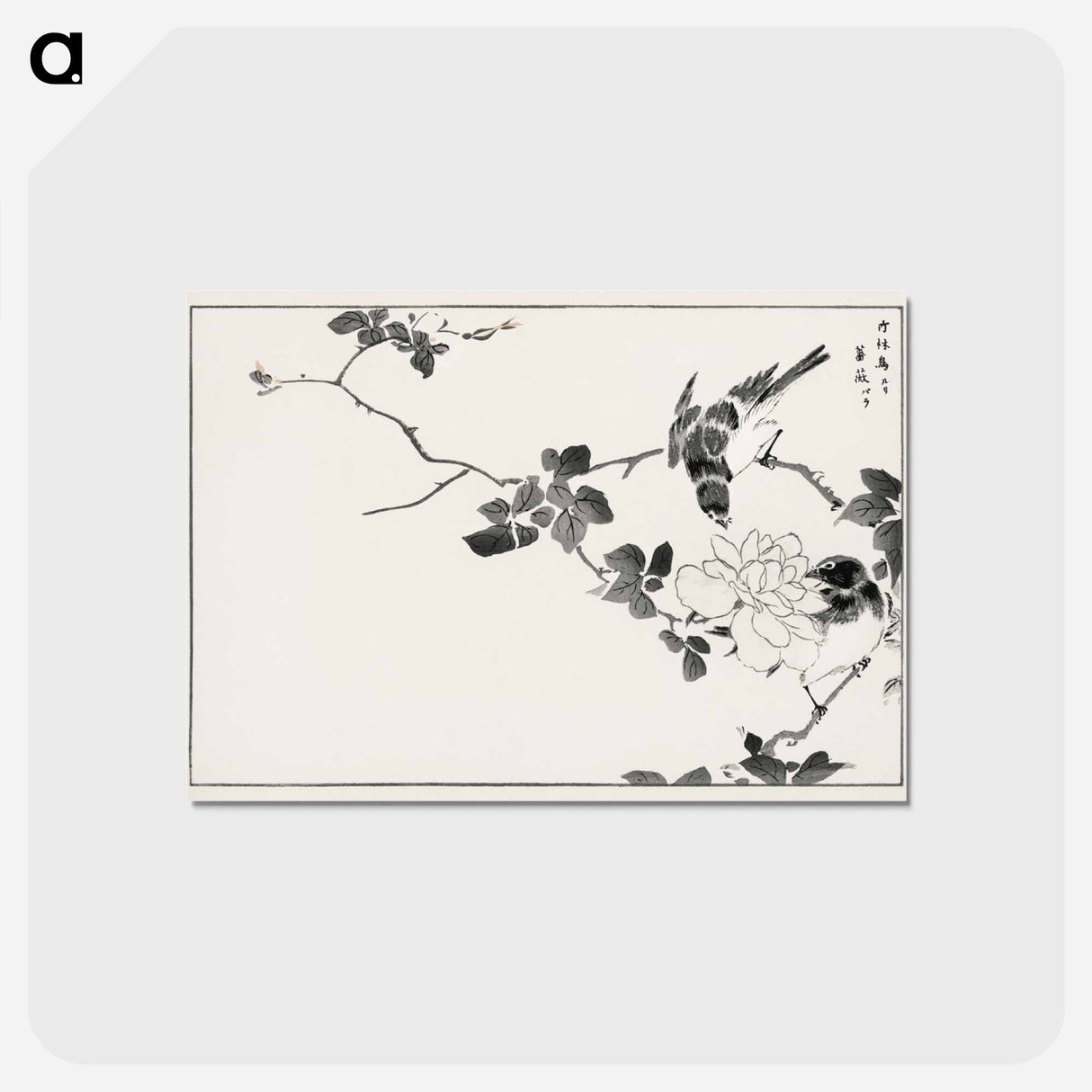 アートポストカード-Pallas’s Blue Robin and Rose
 - 鳥類図鑑 Postcard.