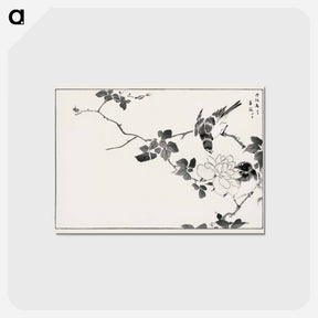 アートポストカード-Pallas’s Blue Robin and Rose
 - 鳥類図鑑 Postcard.