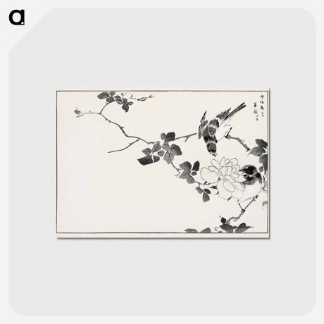 アートポストカード-Pallas’s Blue Robin and Rose
 - 鳥類図鑑 Postcard.