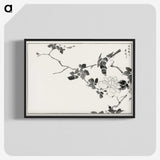 1-20_Pictorial-Monograph-of-Birds_blk-crop