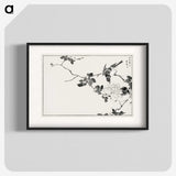 1-20_Pictorial-Monograph-of-Birds_blk