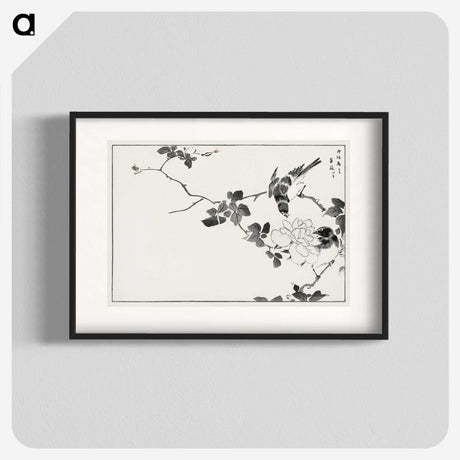 1-20_Pictorial-Monograph-of-Birds_blk