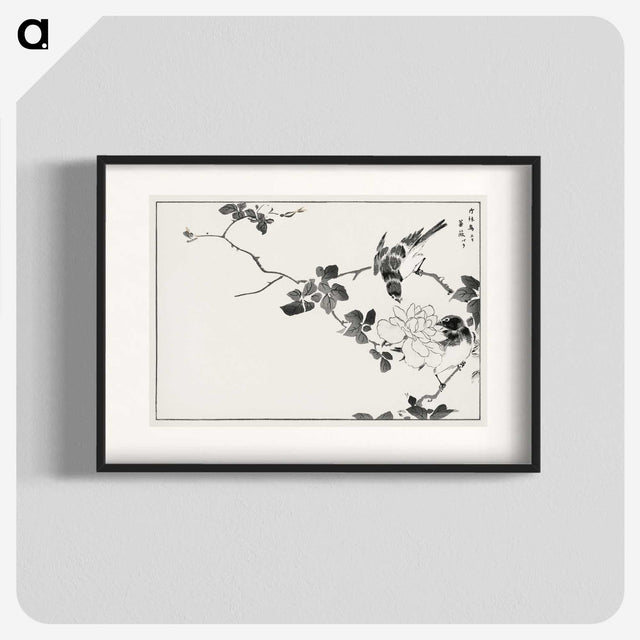 1-20_Pictorial-Monograph-of-Birds_blk
