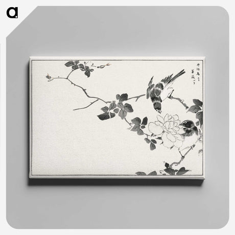 1-20_Pictorial-Monograph-of-Birds_canvas