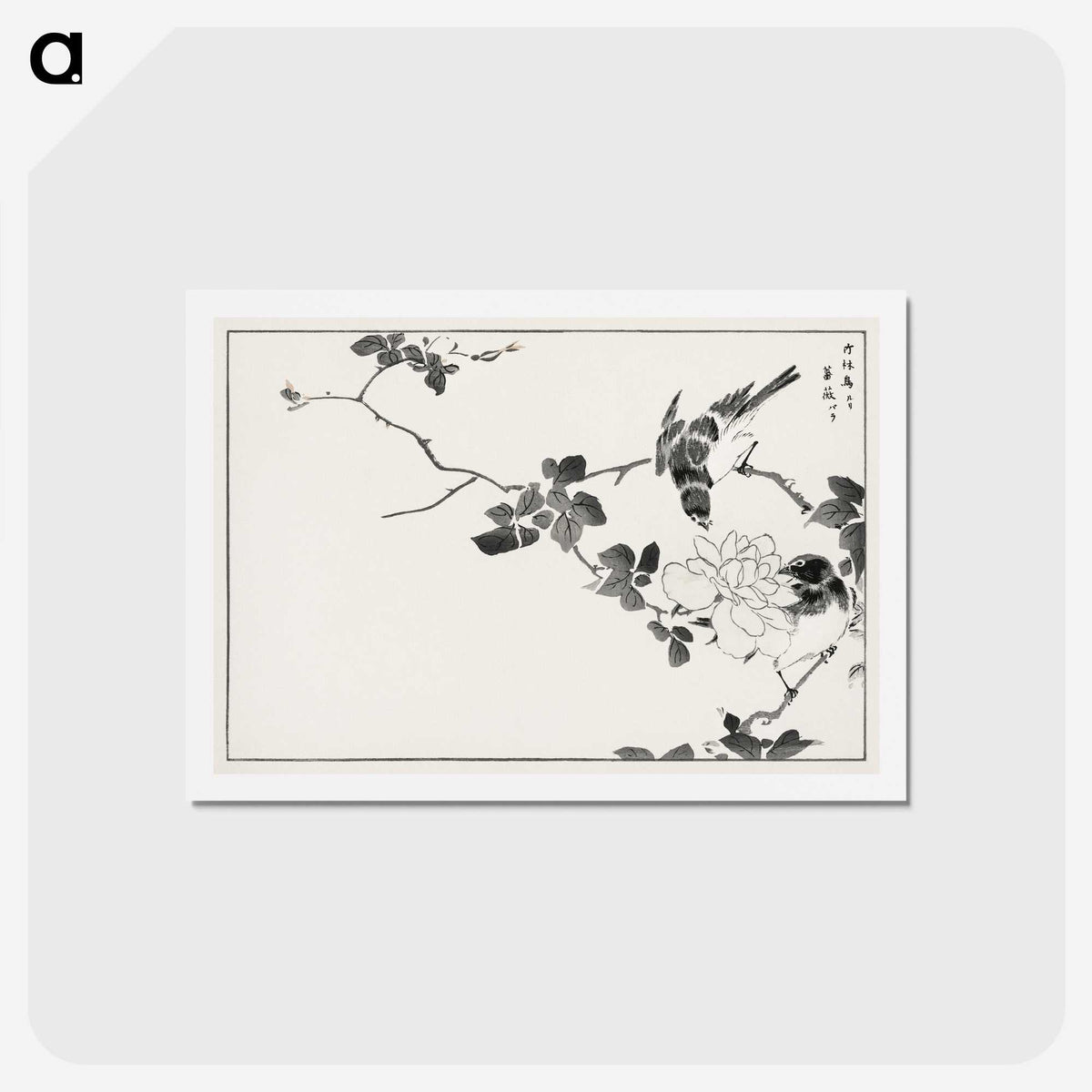 1-20_Pictorial-Monograph-of-Birds_hagaki