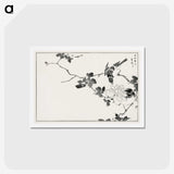 1-20_Pictorial-Monograph-of-Birds_hagaki