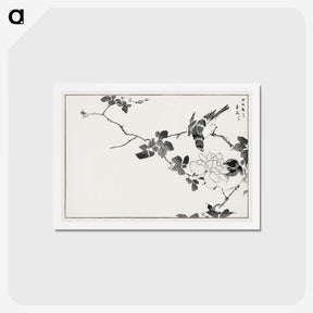 1-20_Pictorial-Monograph-of-Birds_hagaki