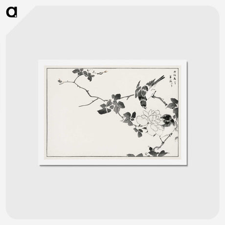 1-20_Pictorial-Monograph-of-Birds_hagaki