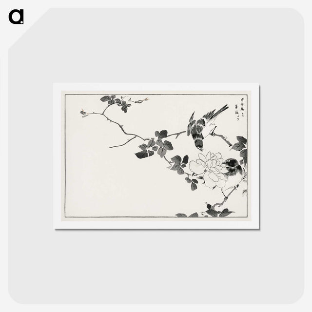 1-20_Pictorial-Monograph-of-Birds_hagaki