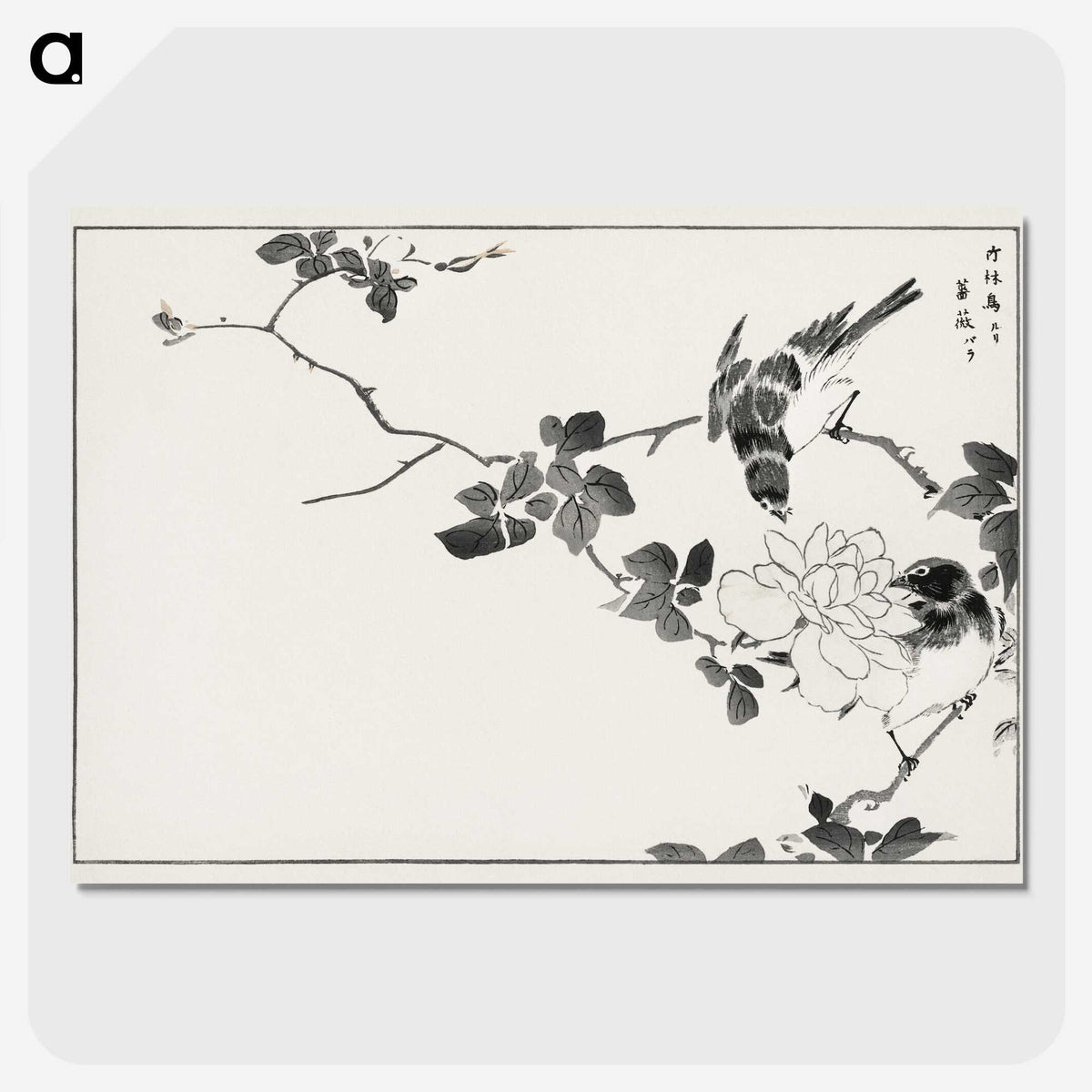 1-20_Pictorial-Monograph-of-Birds_picture-crop