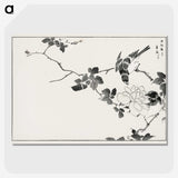 1-20_Pictorial-Monograph-of-Birds_picture-crop