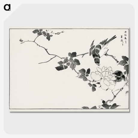 1-20_Pictorial-Monograph-of-Birds_picture-crop