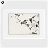 1-20_Pictorial-Monograph-of-Birds_picture