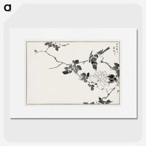 1-20_Pictorial-Monograph-of-Birds_picture