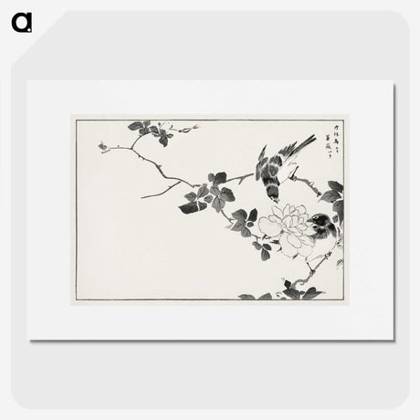 1-20_Pictorial-Monograph-of-Birds_picture