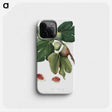 1-20_Pomona-Italiana_phone