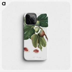 1-20_Pomona-Italiana_phone
