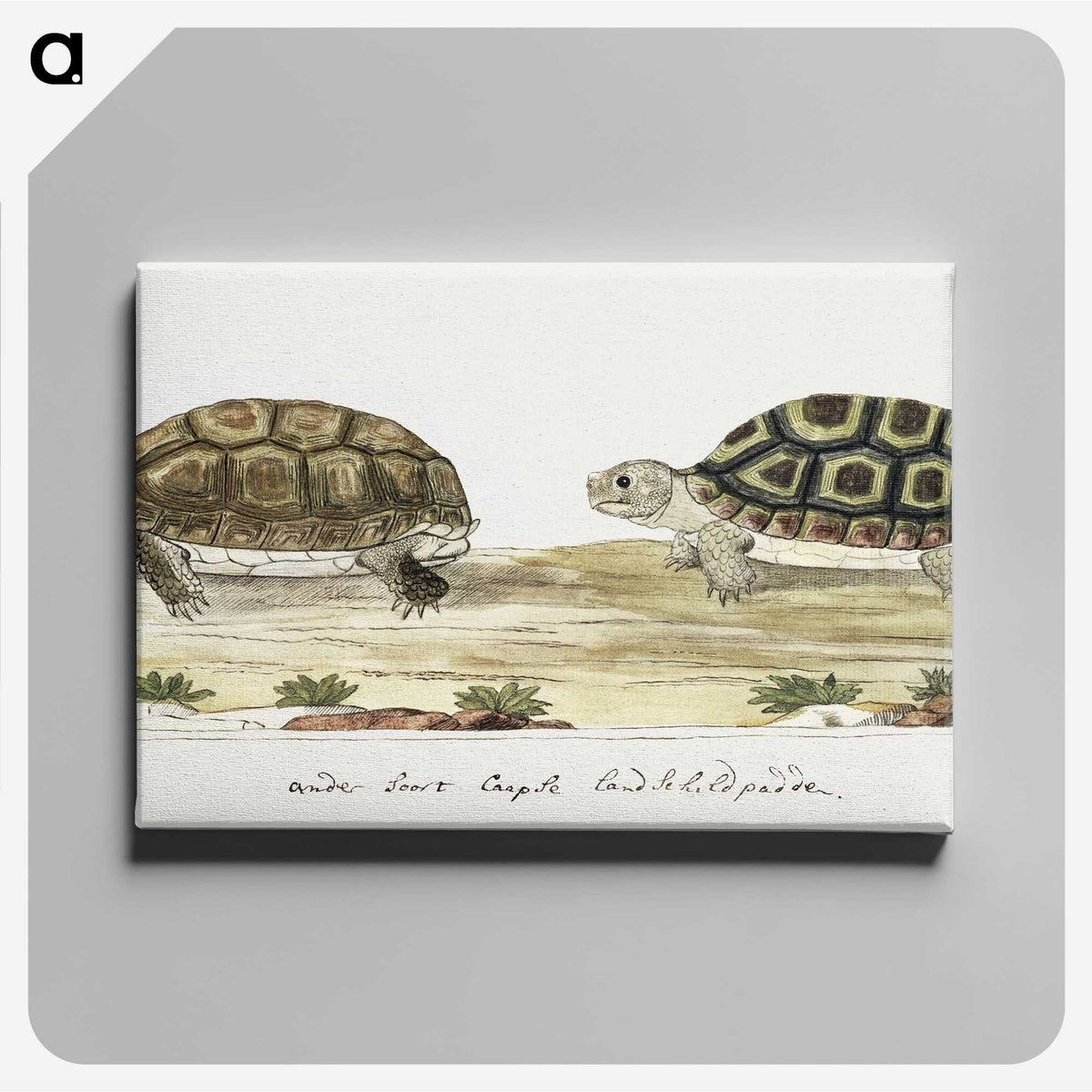 1-20_Robert-Jacob-Gordon_canvas