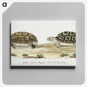 1-20_Robert-Jacob-Gordon_canvas