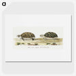 1-20_Robert-Jacob-Gordon_picture